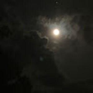 Meet your Posher, Betty